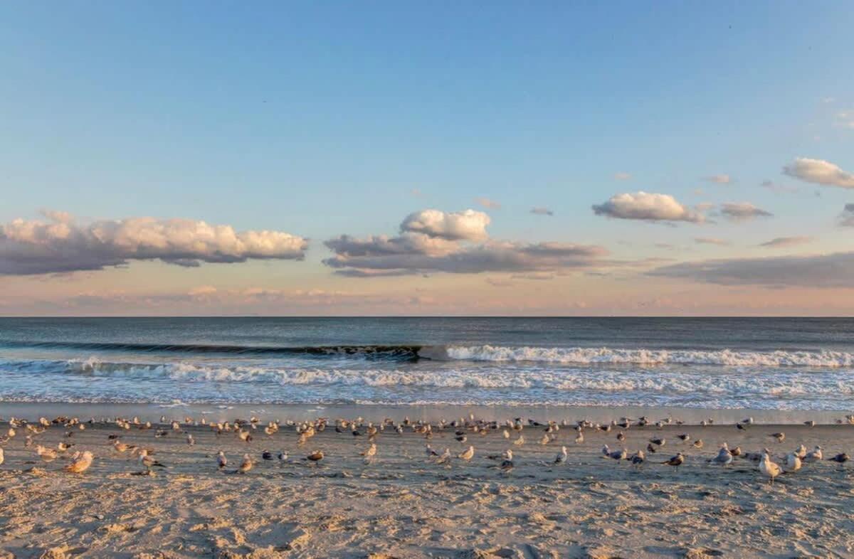 Villa *Oceanfront Retreat*King Bed *Great Pools, Hot Tubs+++*O41 à Myrtle Beach Extérieur photo